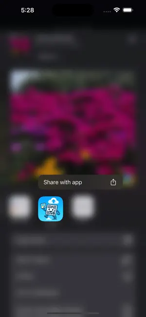 OneTimeShare screenshot 1