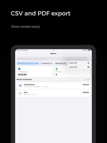 Receipts: Side Hustle Tax iPad screenshot