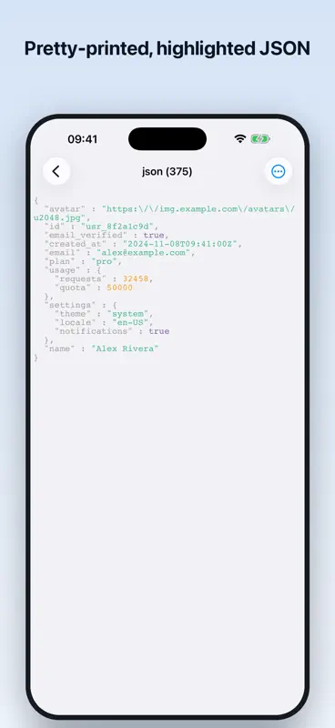 Http traffic capture screenshot 2 of 7