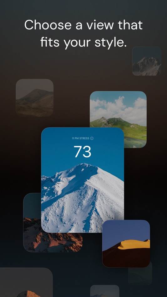 #6. Panora: Stress Watch, Heart (iOS) 由: BlueSignum Corp.