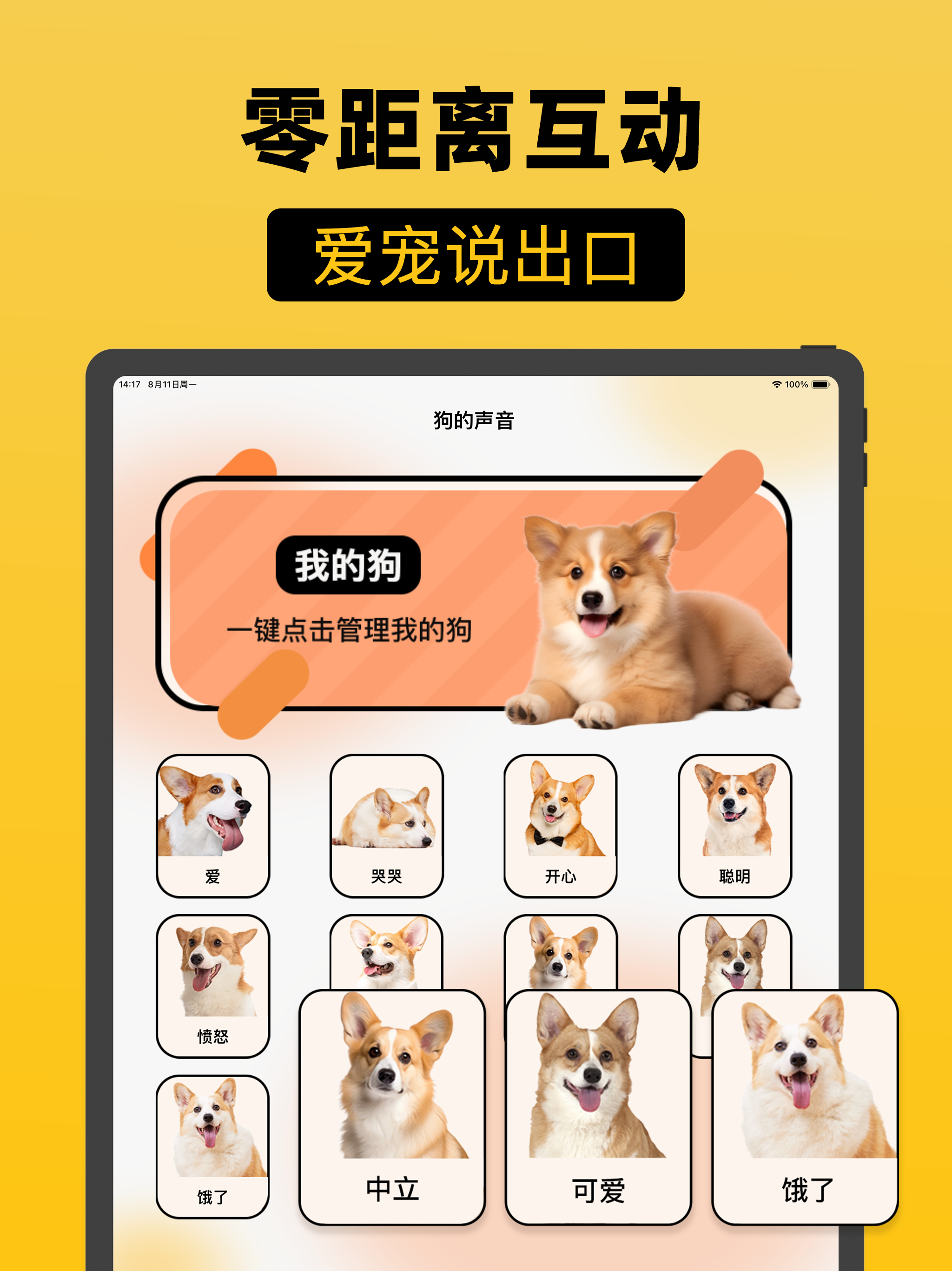 猫狗翻译器-狗语翻译器&猫语翻译器