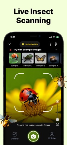 Bug Identifier: Pest Finder Screenshot 6 of 6
