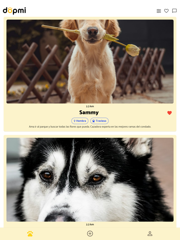 Screenshot #4 pour DopMi