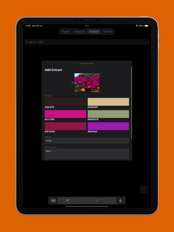 Color Palette Custom iPad screenshot