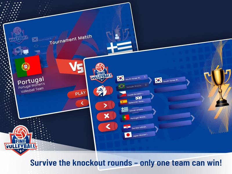 Fine Volleyball - Vôlei 3D screenshot 11