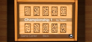 Wooden Labyrinth 3D Screenshot 3 of 6