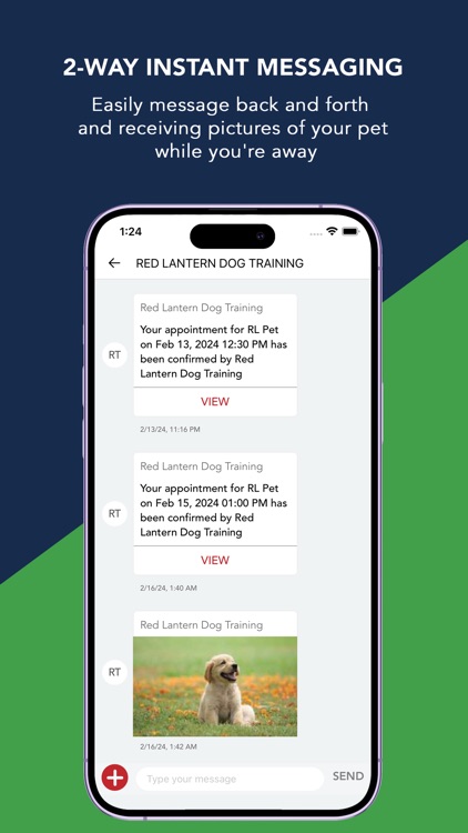 Red Lantern Dog Training