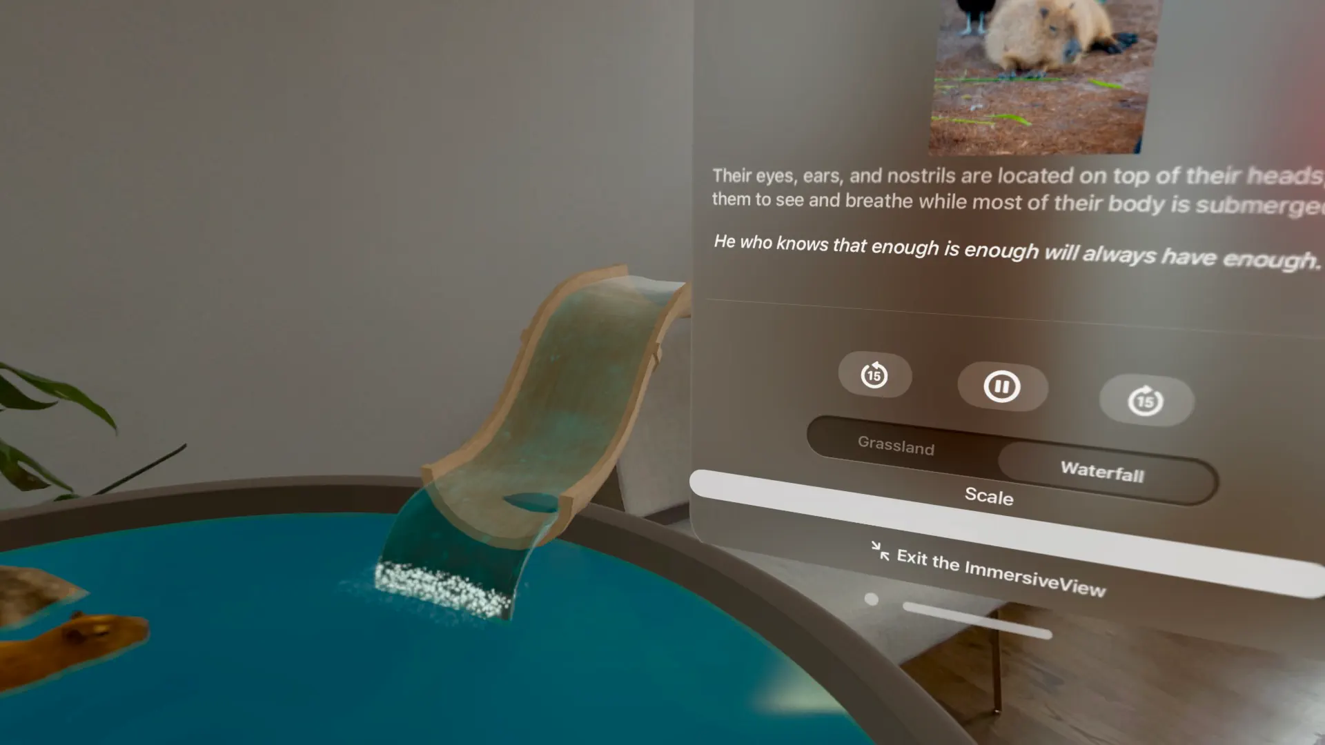 Capybara Retreat Echoes of Zen screenshot 6