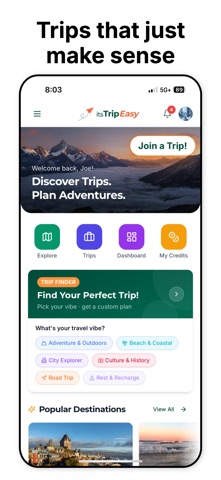 itsTripEasy screenshot