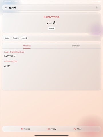 Egyptian Masri Translator iPad screenshot