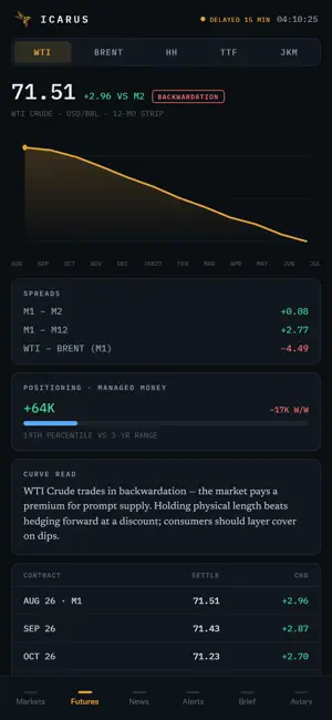 Icarus Energy Terminal screenshot 3