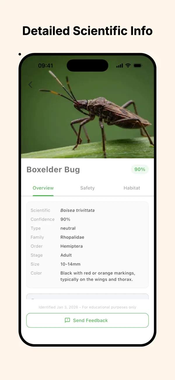 Screenshot #2 pour AI Bug Identifier