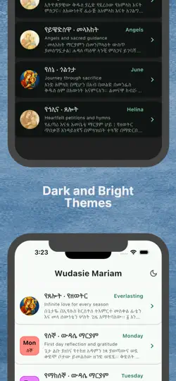 Wudasie Mariam iPhone Screenshot 5
