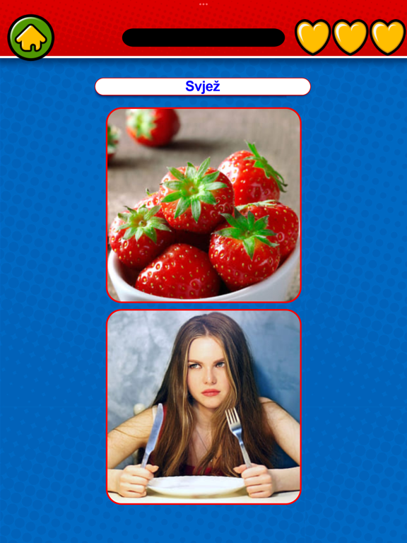 Learn Bosnian Flashcards iPad screenshot