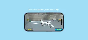 Flight Language Simulator screenshot 4
