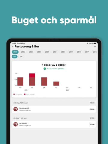 Zlantar: Hela din ekonomi iPad screenshot 6