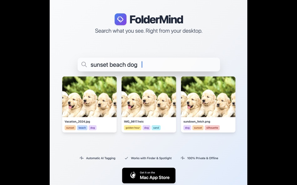 #2. FolderMind (macOS) 由: 涛 王