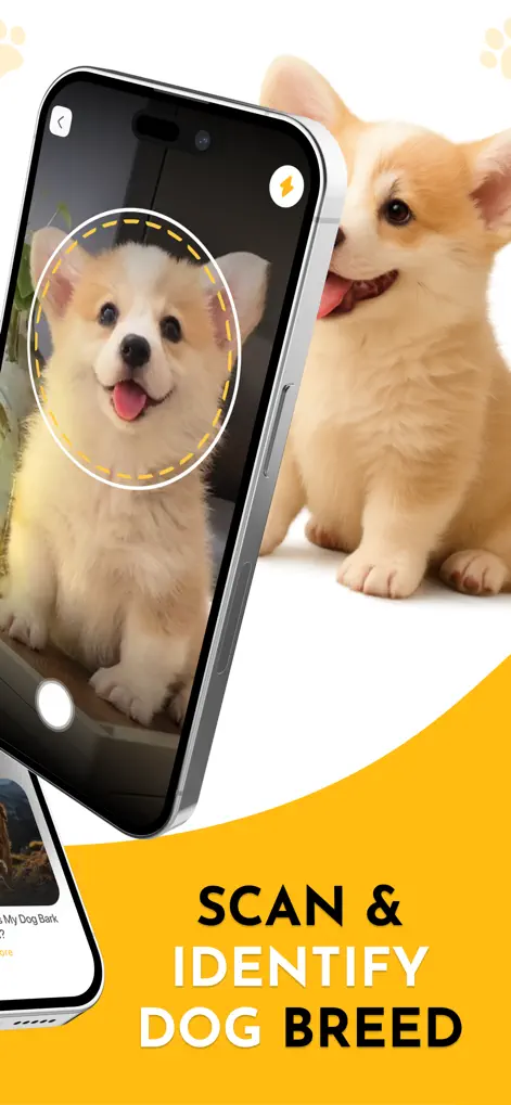 Dog Breed Identifier + Scanner - Lifestyle App | MWM