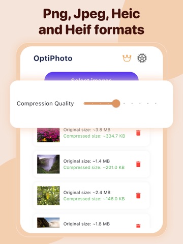 Compress Photos : OptiPhoto iPad screenshot