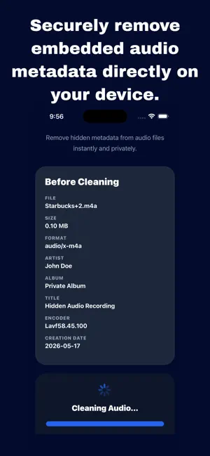 Audio Metadata Cleaner screenshot 3