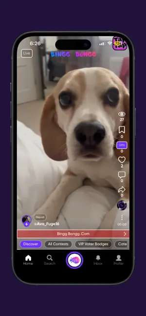 Bingg Bongg screenshot 1