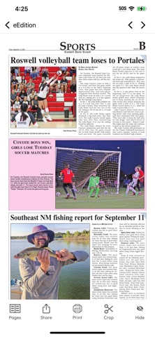 Roswell Daily Record Screenshot 6 of 7
