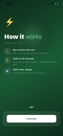 SaveExcess screenshot