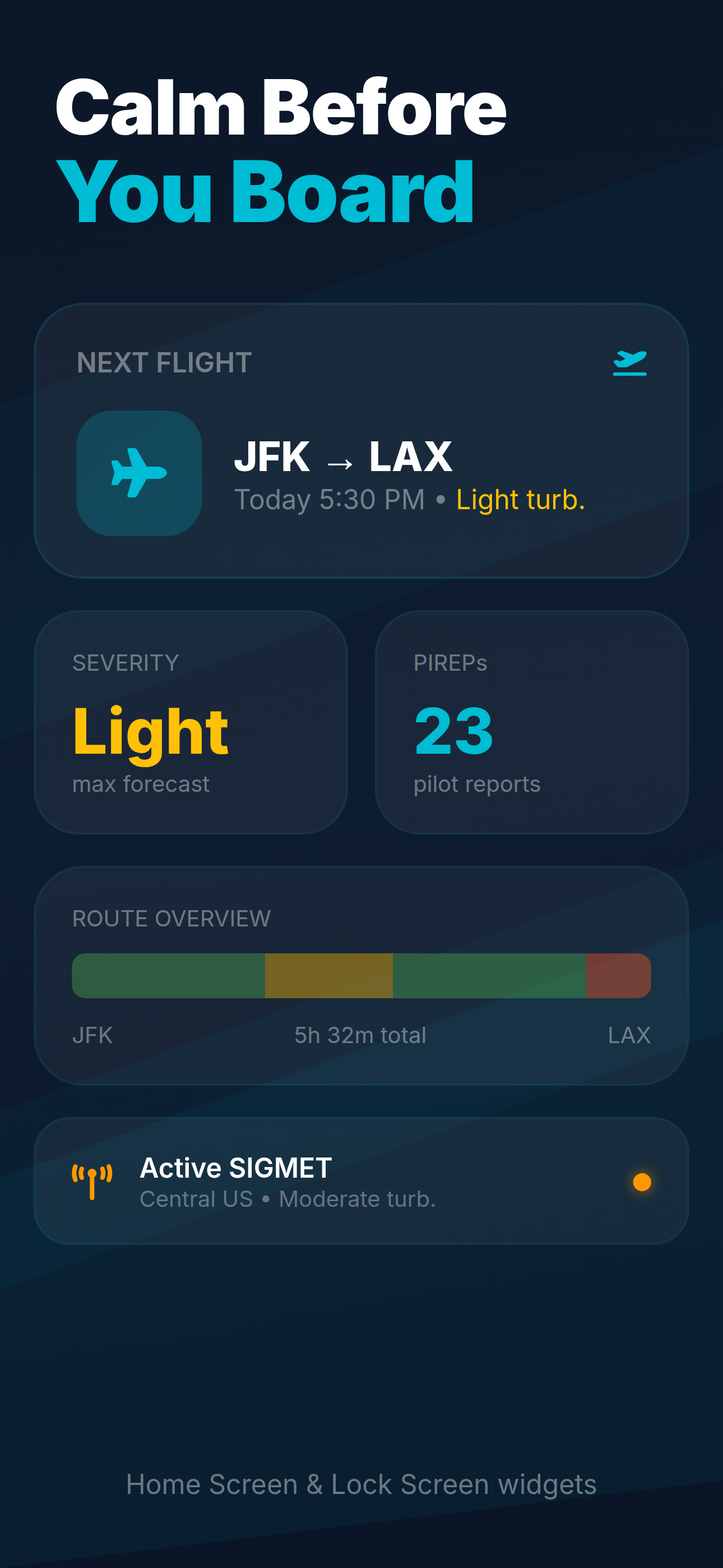 Turbulence Forecast - Flight+