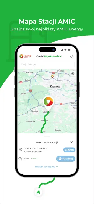 AMIC Energy PL iPhone screenshot 6