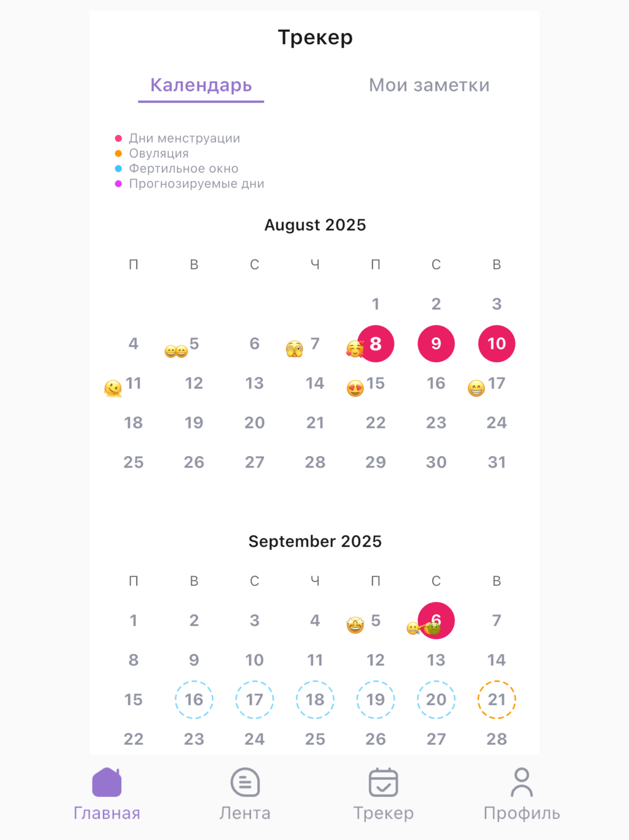 Momify screenshot 7