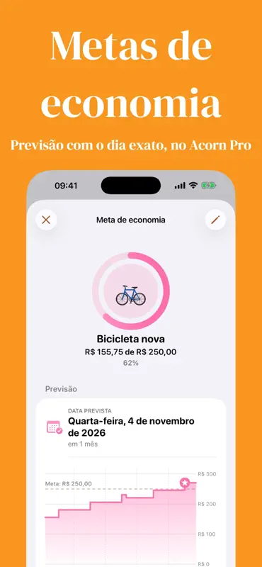 Mesada e cofrinho - Acorn screenshot 3 of 6