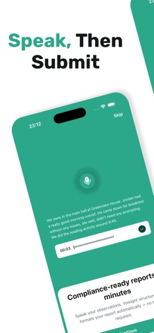 Voisight screenshot