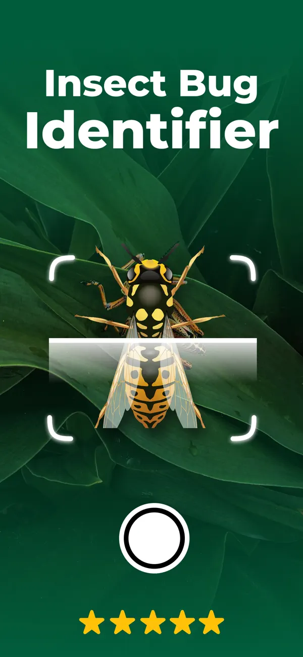 Screenshot #1 pour Insect ID - Bug Finder