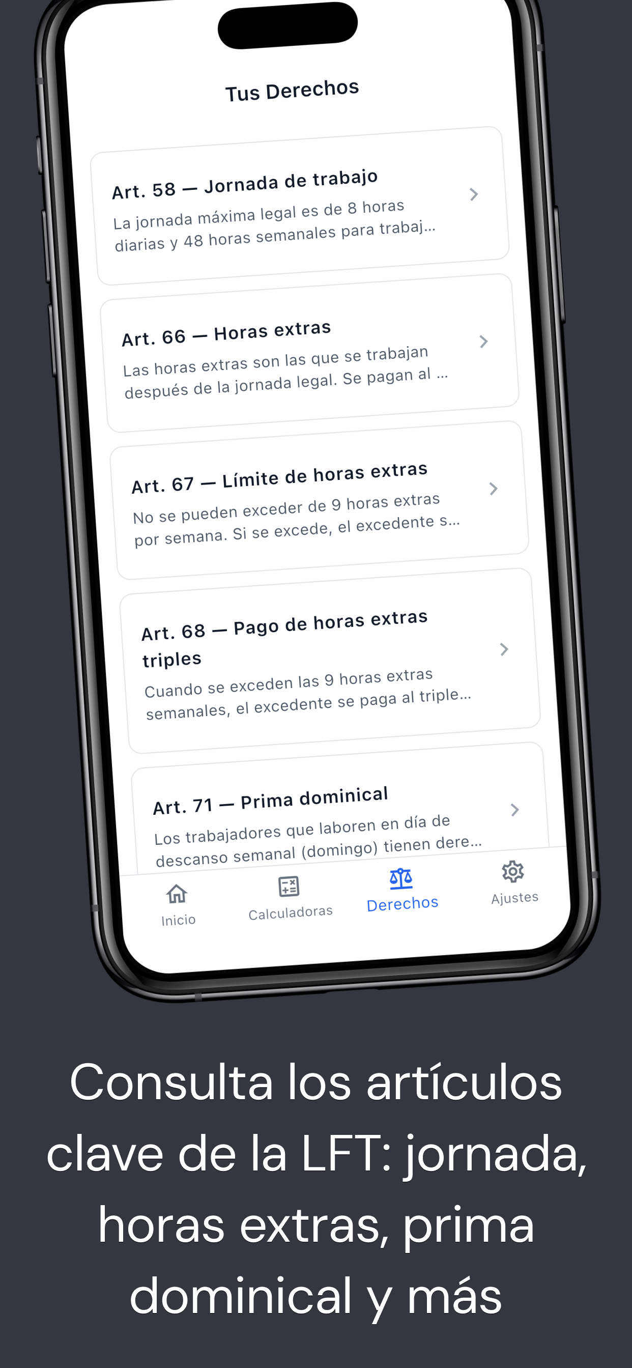Horas Extras: Calculadora LFT screenshot 6