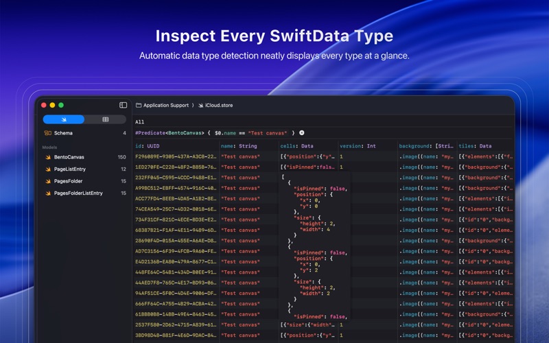 DataScout for SwiftData screenshot