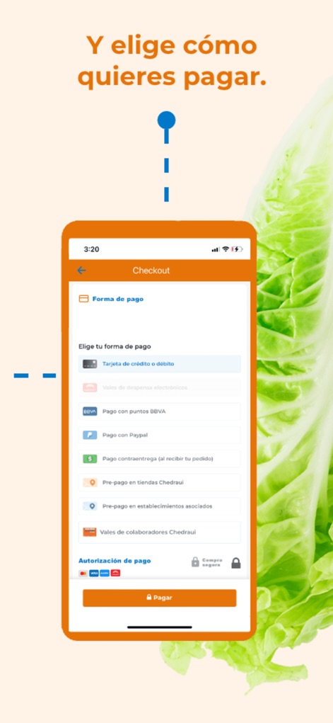 Chedraui - Tienda en línea - この画面では、クレジットカードやPayPalを含む多様な支払いオプションが明確にリストされており、それぞれの支払い方法には直感的なアイコンと説明が付いているため、ユーザーは自分に最適な選択が可能です。