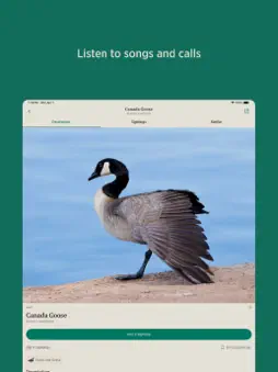 Audubon Bird Guide screenshot 9