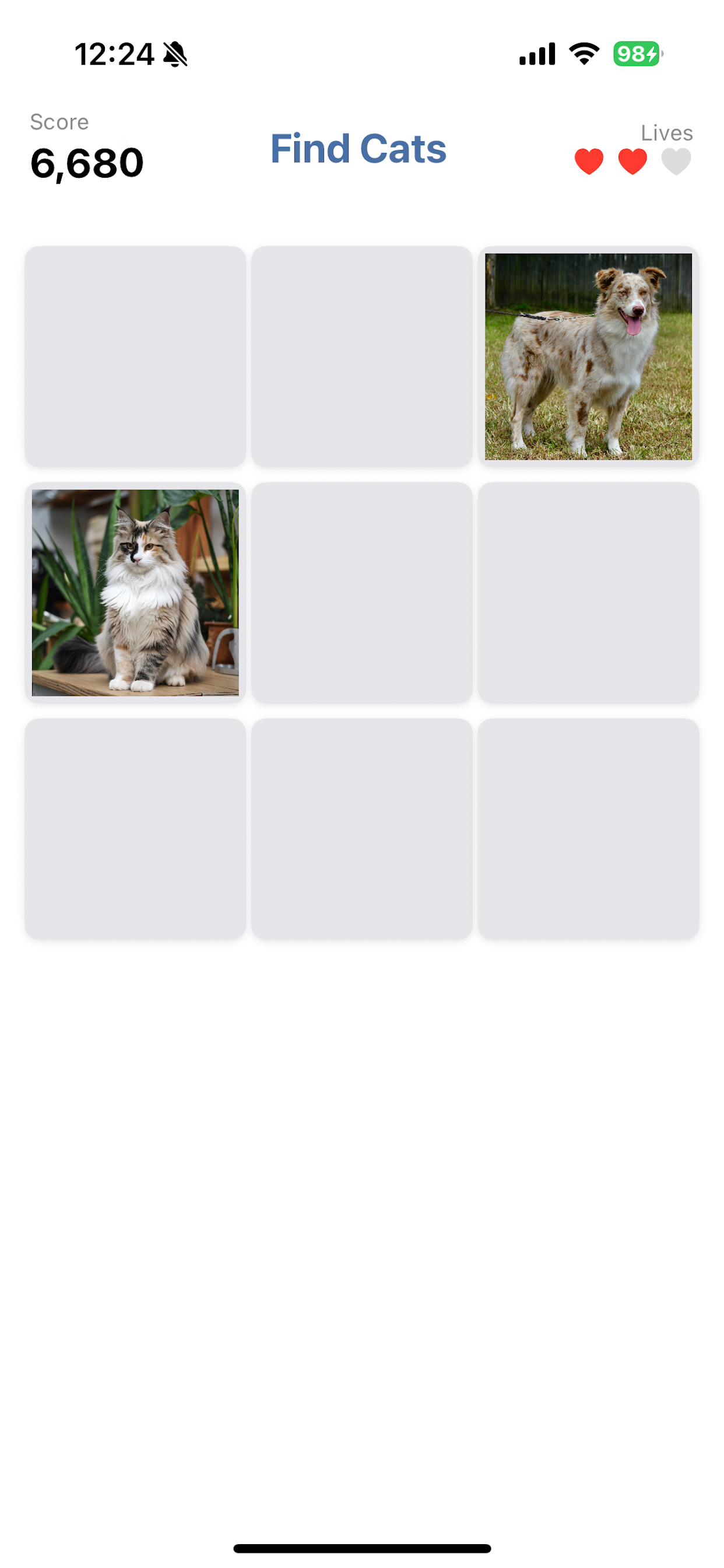 Paw Collector screenshot 2