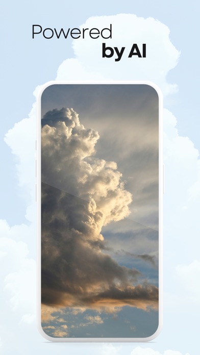 Cloud Identifier: Scanner Screenshot