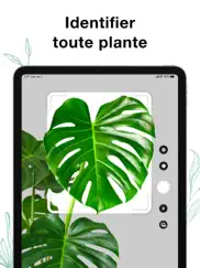 plants air - identifier plante iPad Captures Décran 1