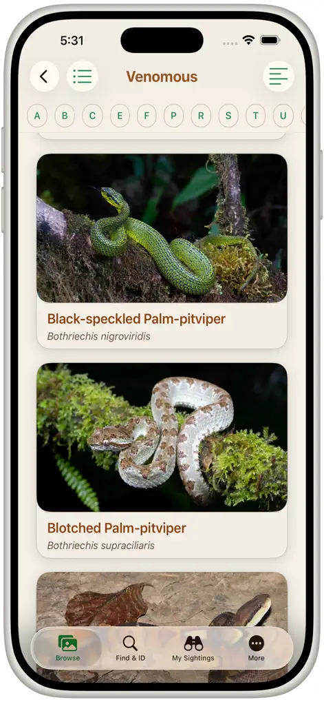 Snakes of Costa Rica - Reference App | MWM