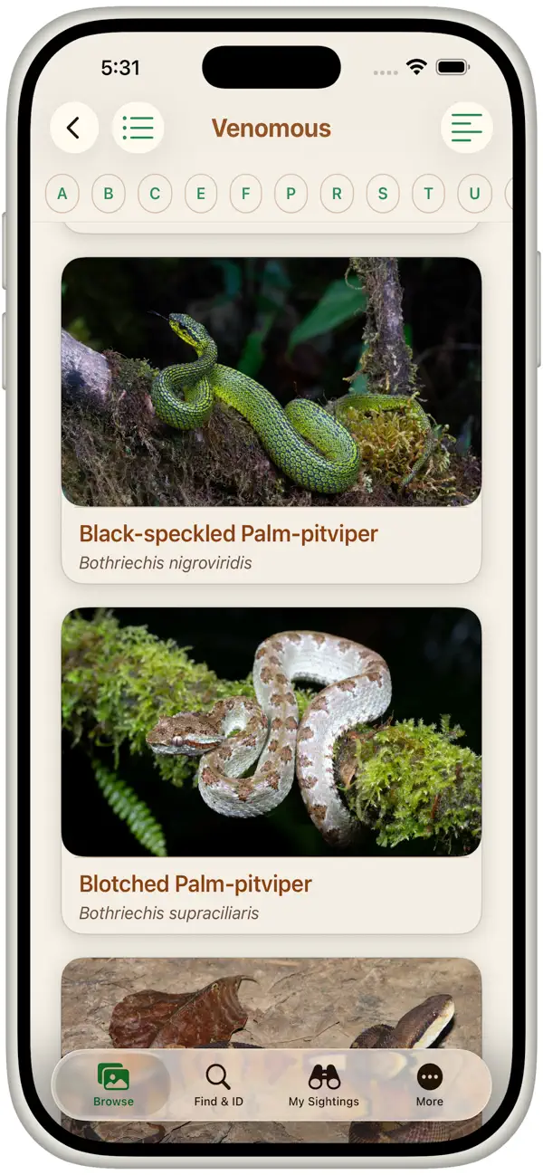 Screenshot #2 pour Snakes of Costa Rica