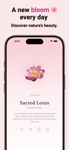 Flora - 每日一花 screenshot