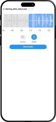 Voice Recorder:录音机 - 简易录音机 screenshot