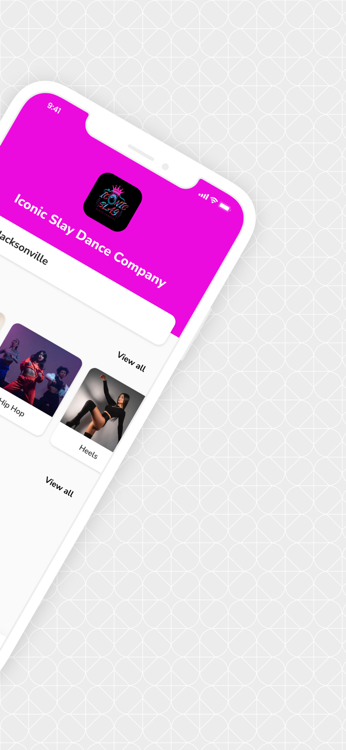 Iconic Slay Dance Company