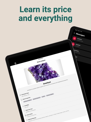 Rock Identifier: Stone Value iPad screenshot