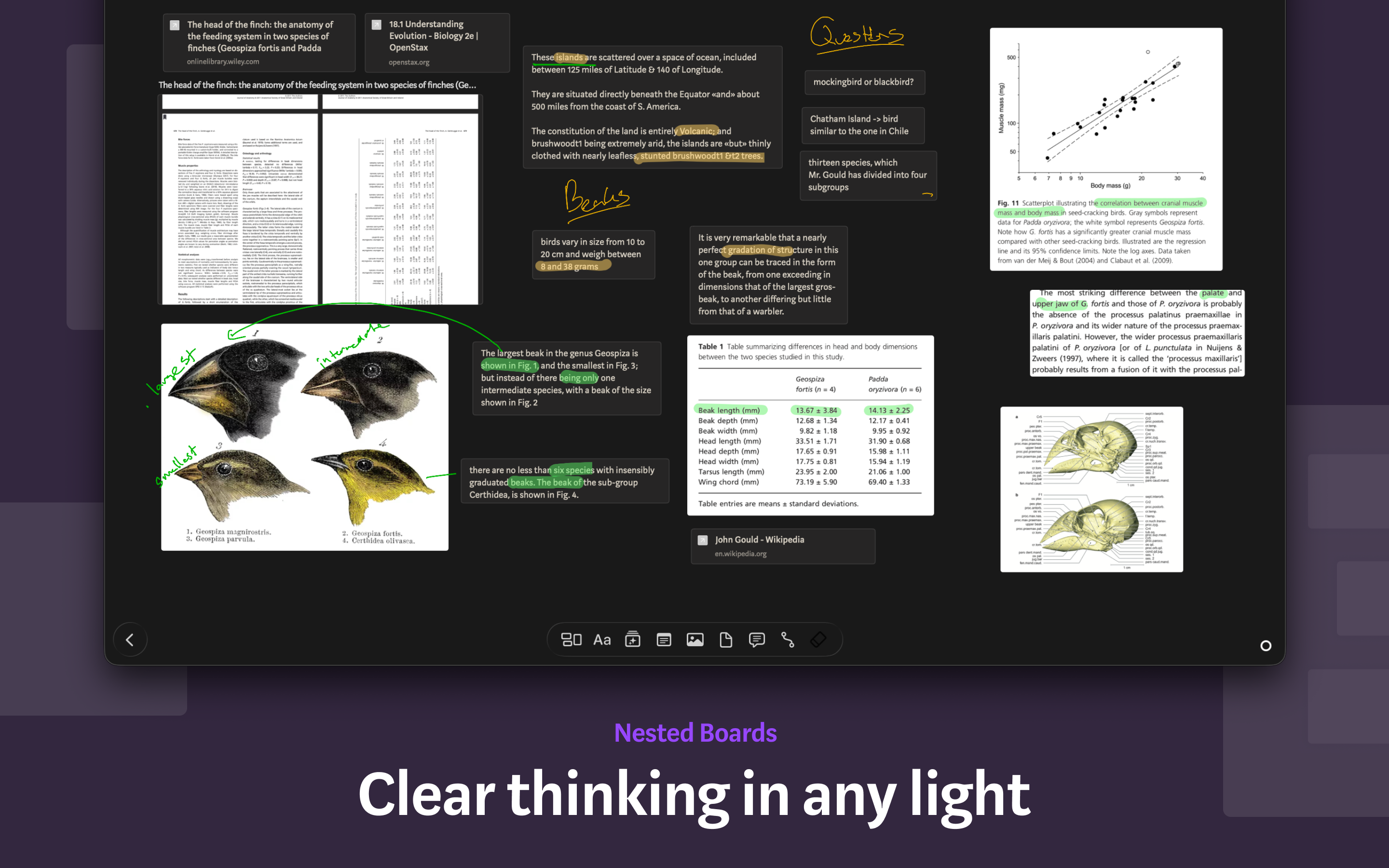 Allume — for focused thinking