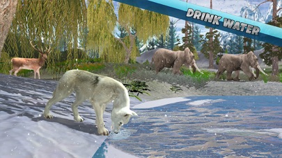 Snow Wolf Family Simulator Screenshot