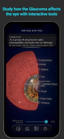 Virtual Eye Pro screenshot