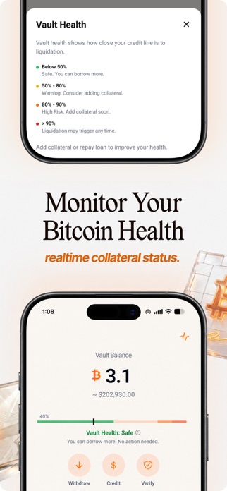 Surge Credit Screenshot 5 of 5
